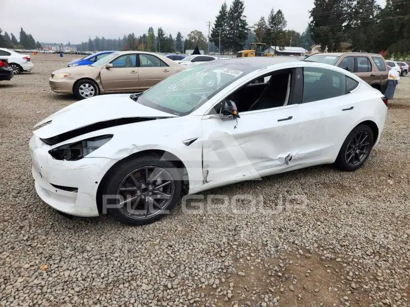 2020 Tesla Model 3 фото