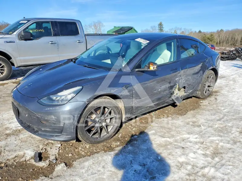 2020 Tesla Model 3 photo