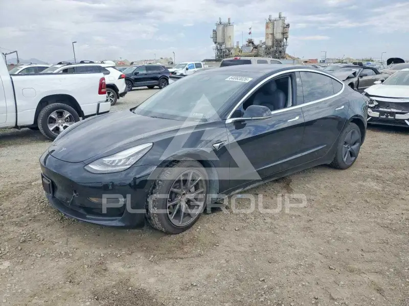 2020 Tesla Model 3 photo
