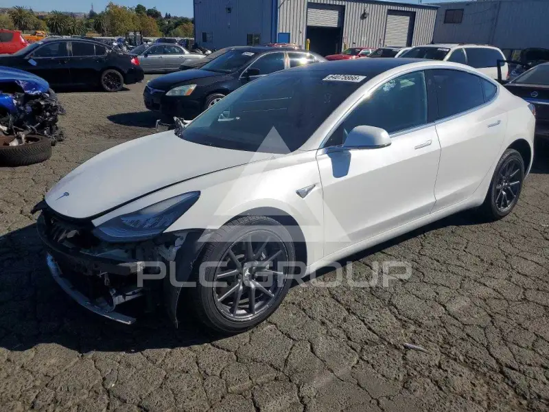 2020 Tesla Model 3 фото