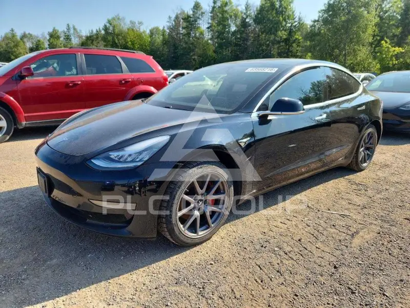 2020 Tesla Model 3 фото