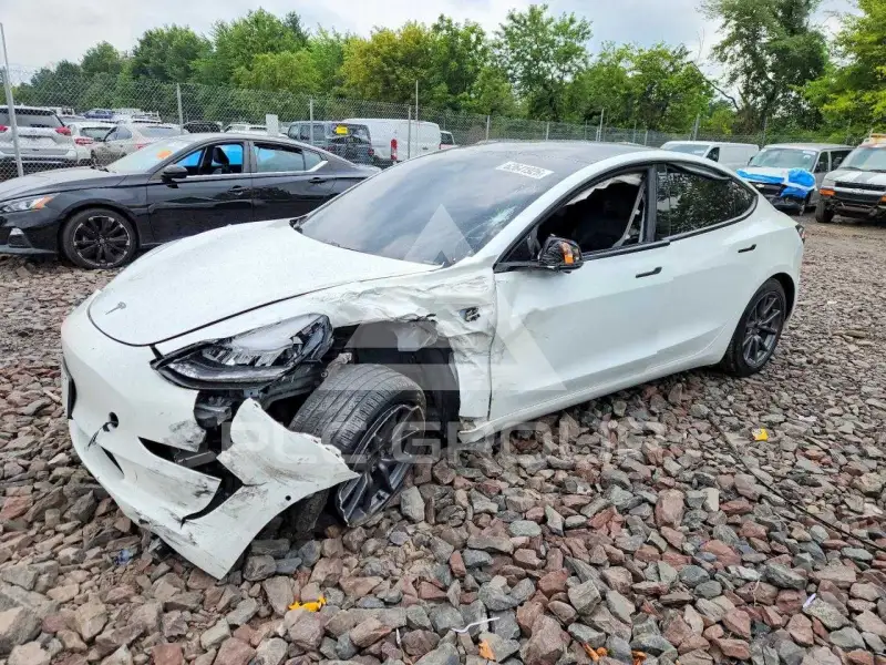 2020 Tesla Model 3 фото
