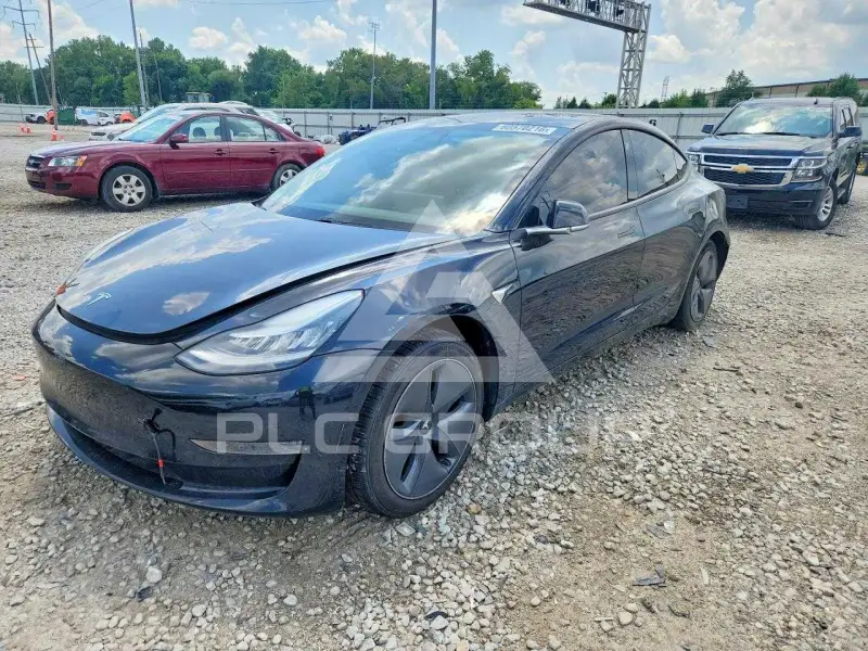 2020 Tesla Model 3 photo