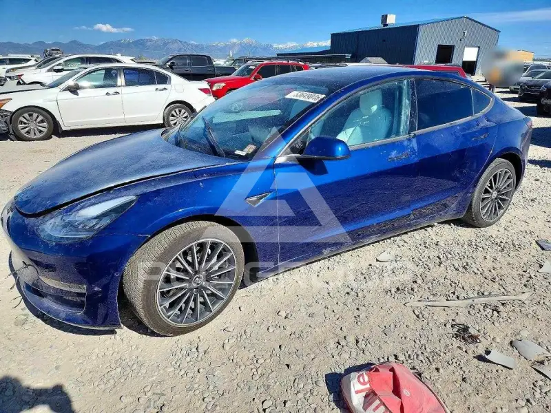 2020 Tesla Model 3 фото