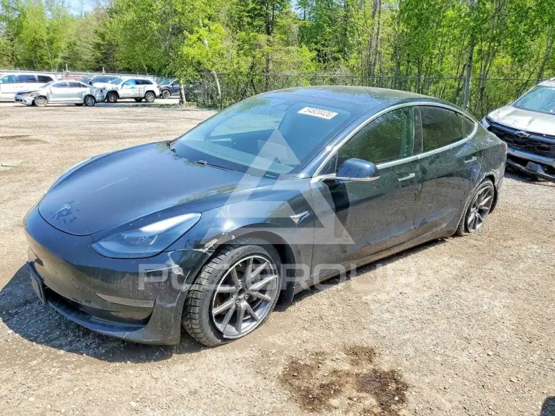 2020 Tesla Model 3 photo