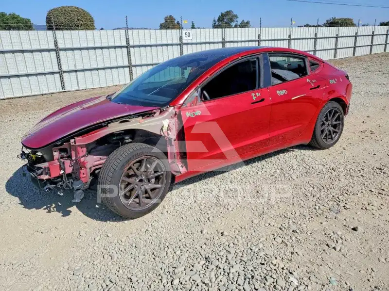 2020 Tesla Model 3 фото