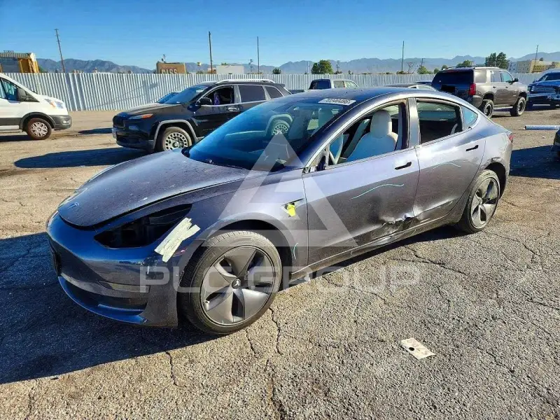 2020 Tesla Model 3 photo