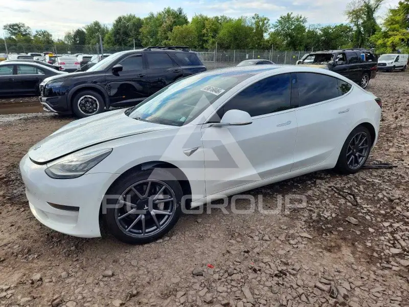 2020 Tesla Model 3 photo