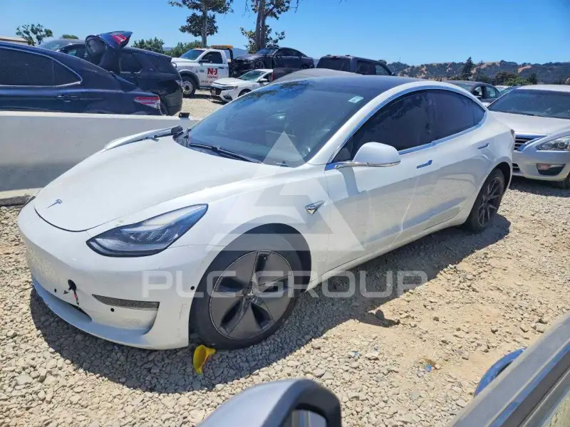 2020 Tesla Model 3 photo