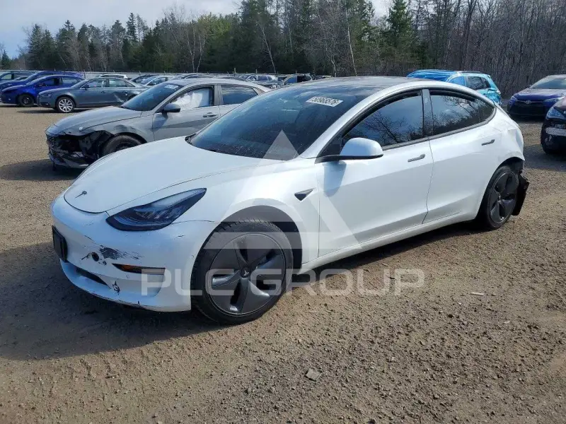 2020 Tesla Model 3 фото