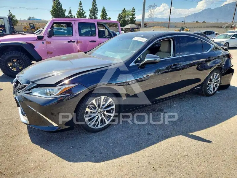 2020 Lexus ES300 photo