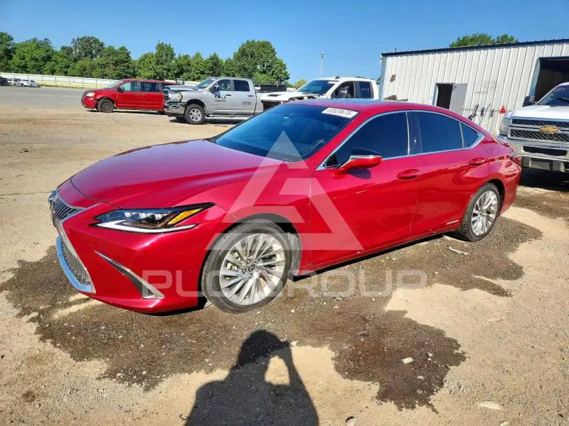 2020 Lexus ES300 photo