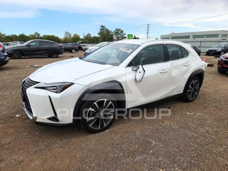 2020 Lexus Other фото