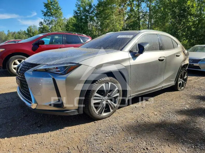 2020 Lexus Other фото