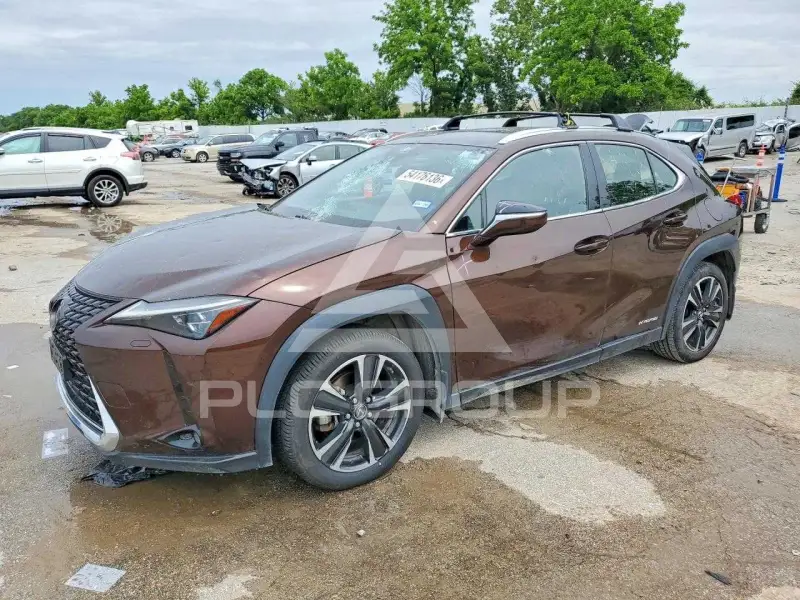 2020 Lexus Other фото