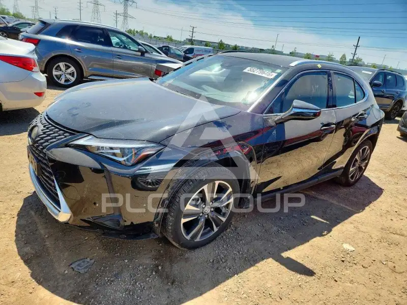 2020 Lexus Other фото