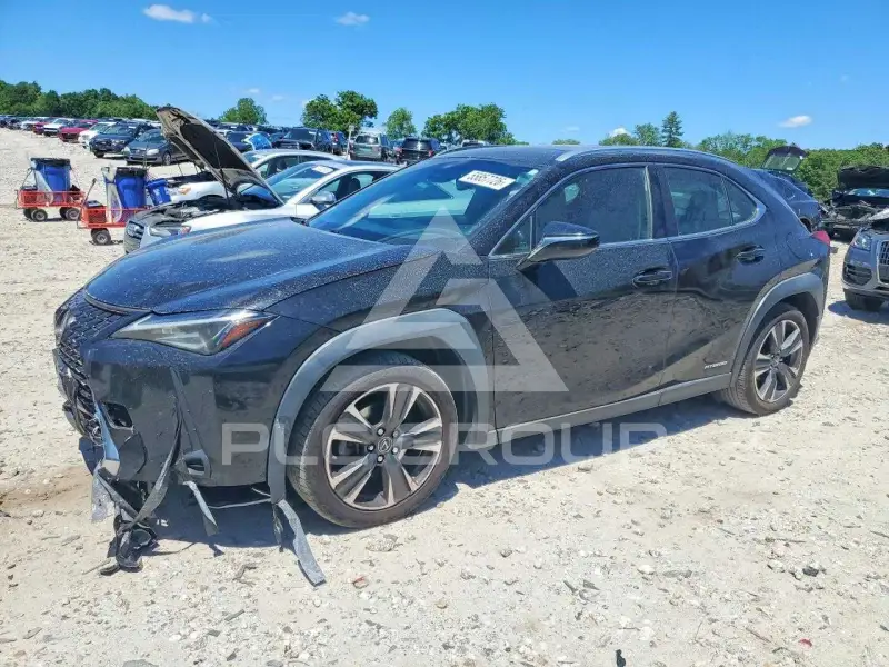 2020 Lexus UX250 photo