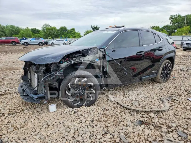 2020 Lexus Other фото
