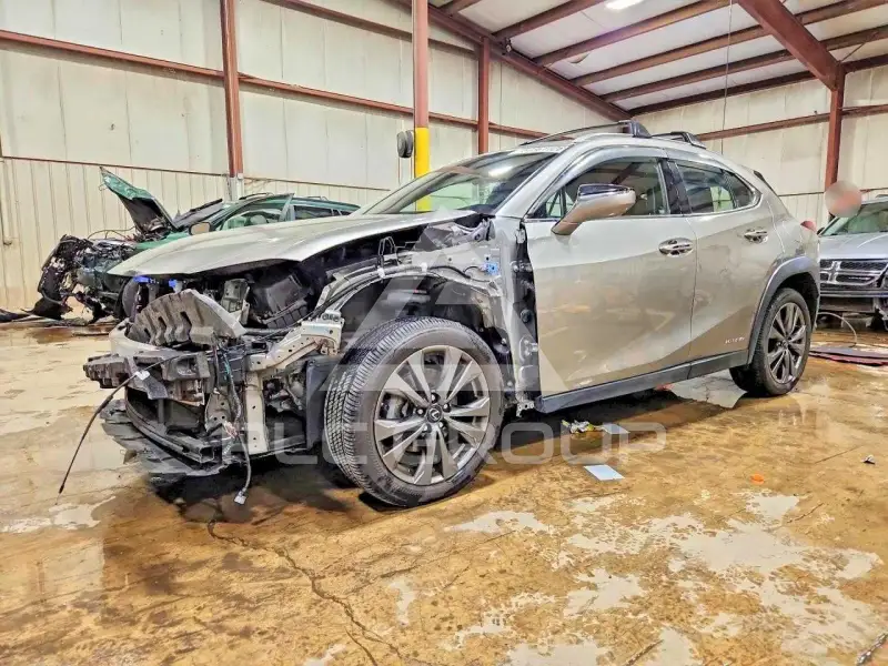 2020 Lexus Other фото