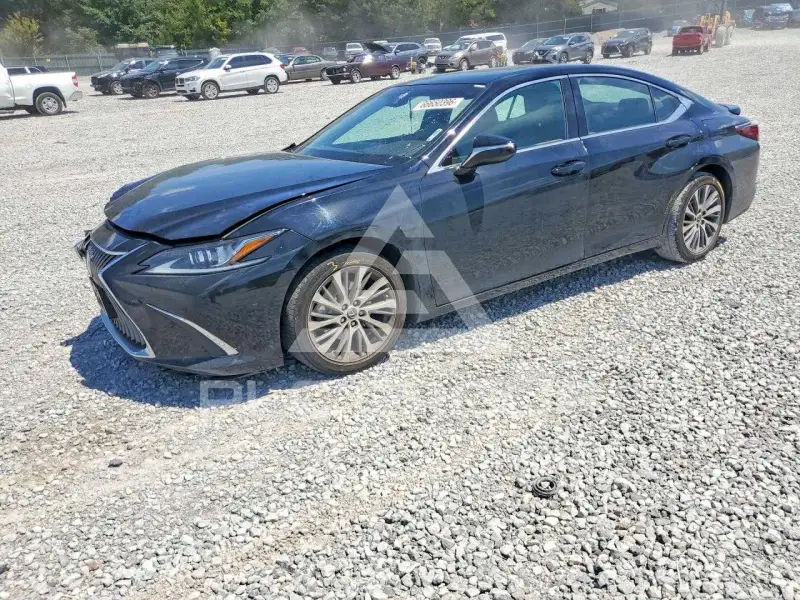 2020 Lexus ES350 фото