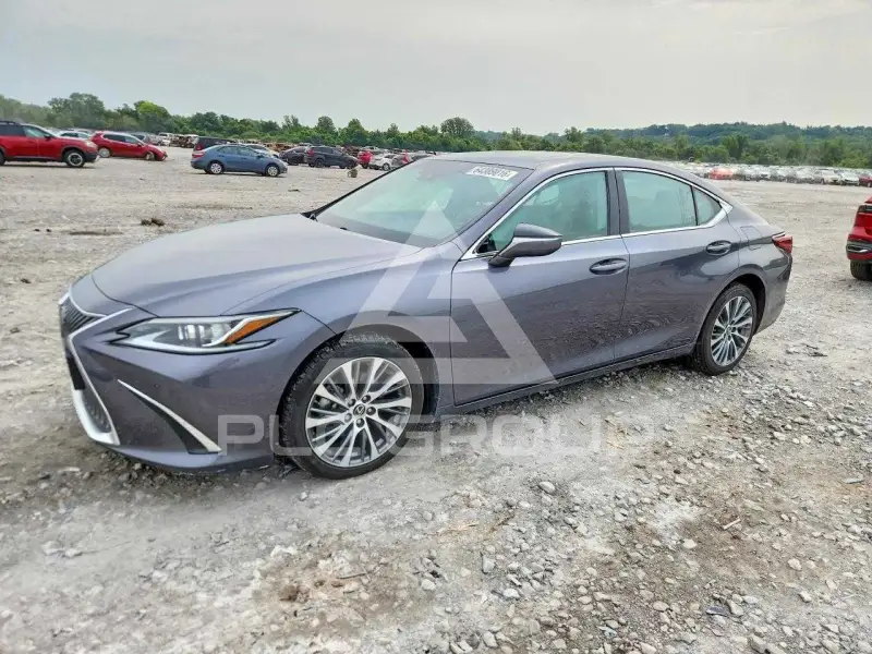 2020 Lexus ES фото