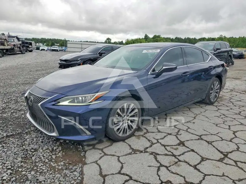 2020 Lexus ES350 фото