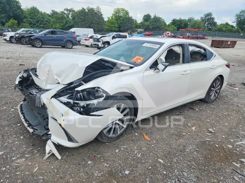 2020 Lexus ES350 photo