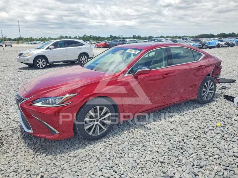 2020 Lexus ES350 фото