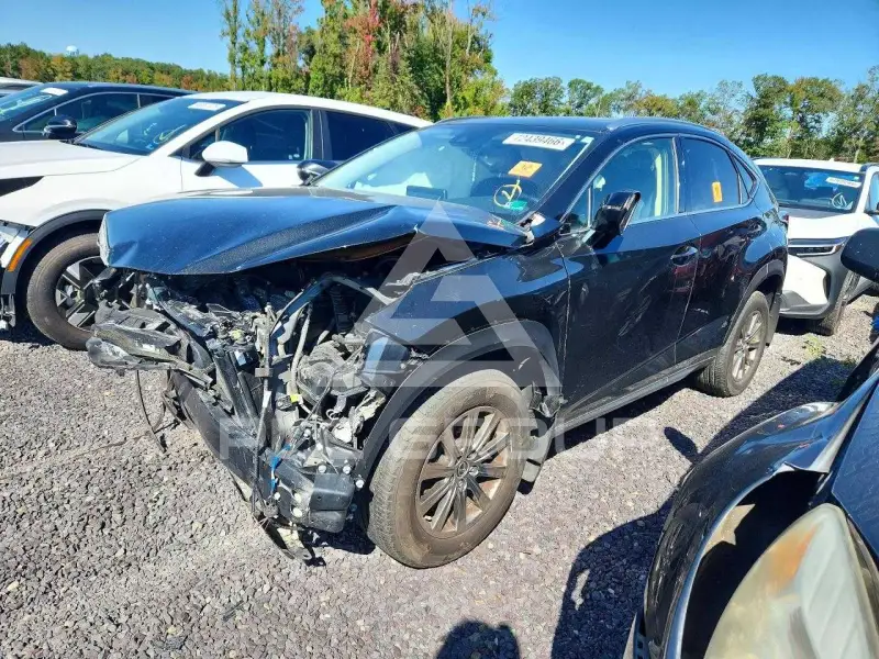 2020 Lexus NX фото
