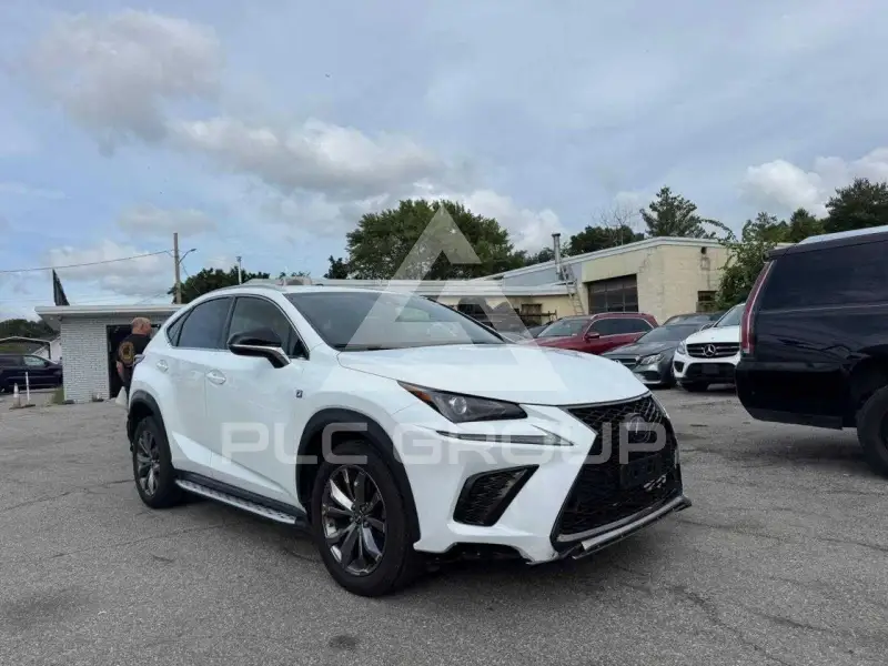 2020 Lexus NX photo