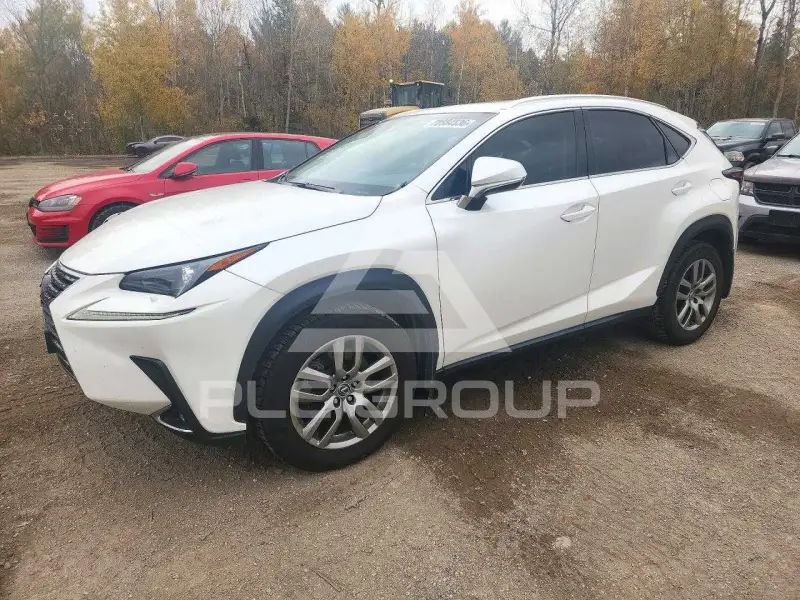 2020 Lexus NX photo