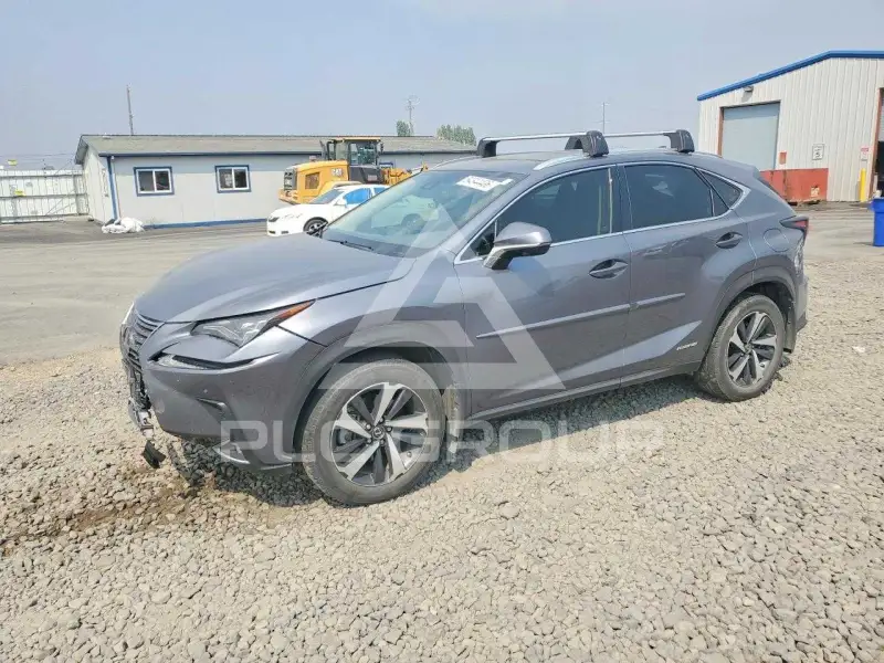 2020 Lexus NX фото