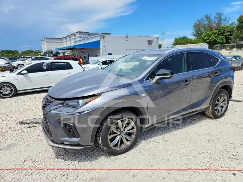 2020 Lexus NX photo