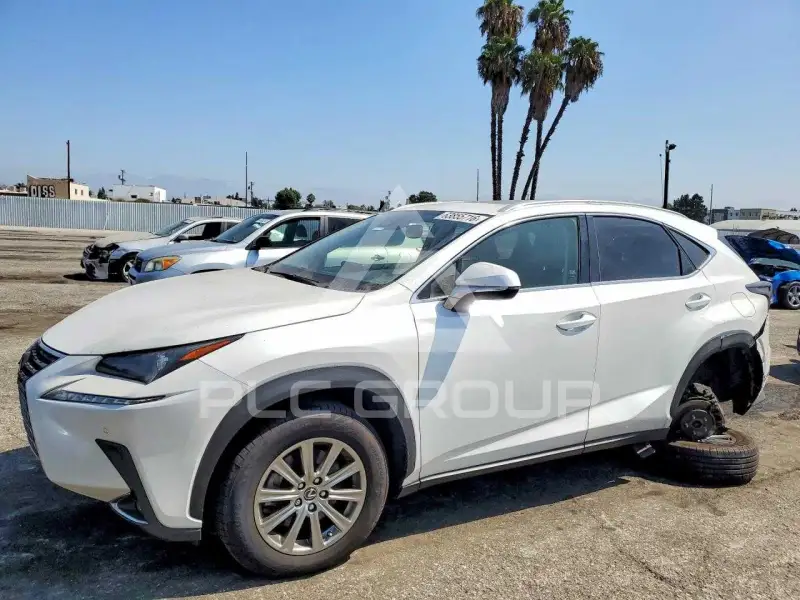 2020 Lexus NX фото