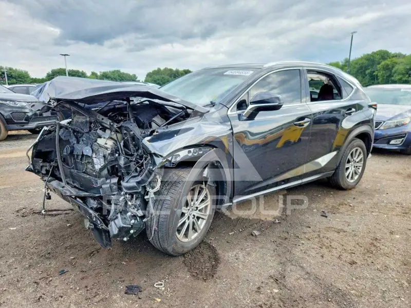 2020 Lexus NX photo