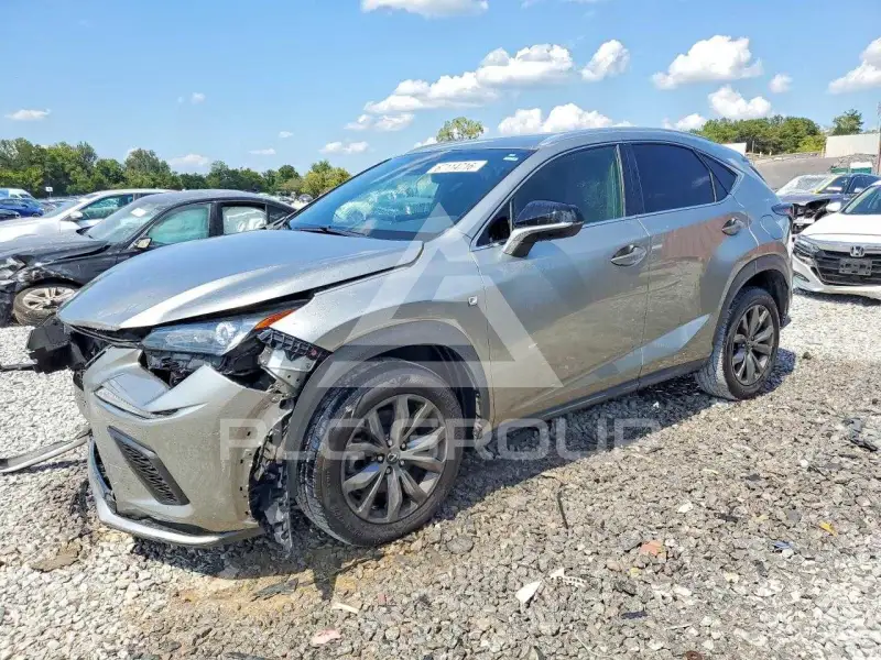 2020 Lexus NX фото