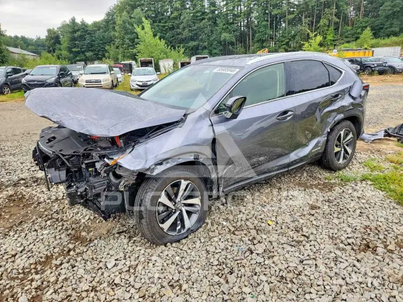 2020 Lexus NX photo