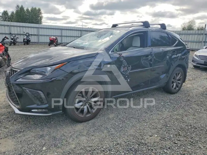 2020 Lexus NX photo