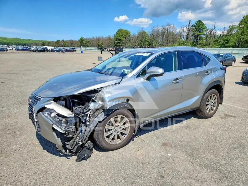 2020 Lexus NX фото