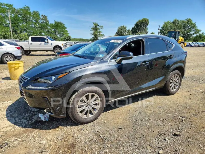 2020 Lexus NX фото