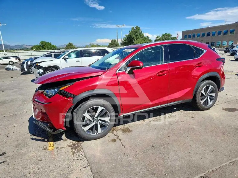 2020 Lexus NX фото