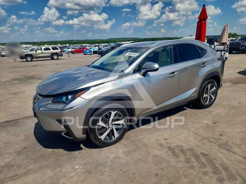 2020 Lexus NX photo