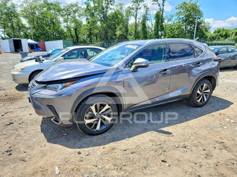 2020 Lexus NX фото