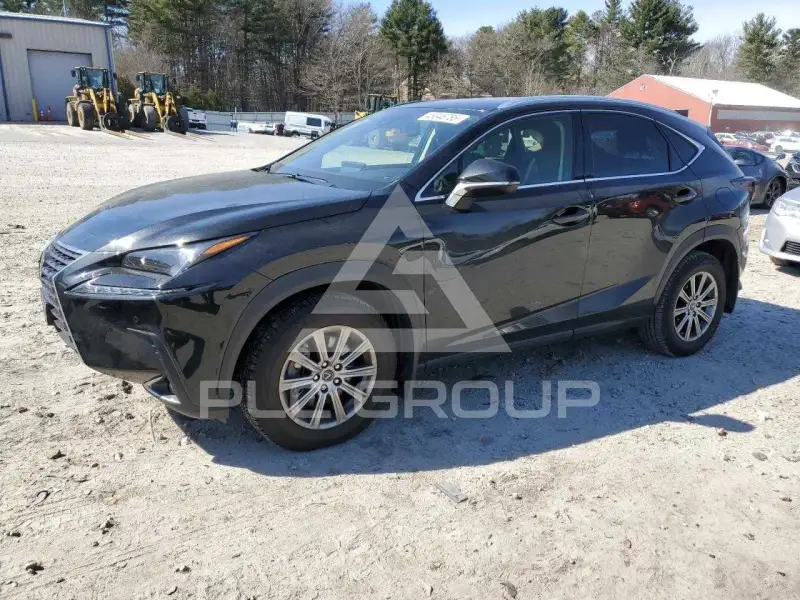 2020 Lexus NX photo