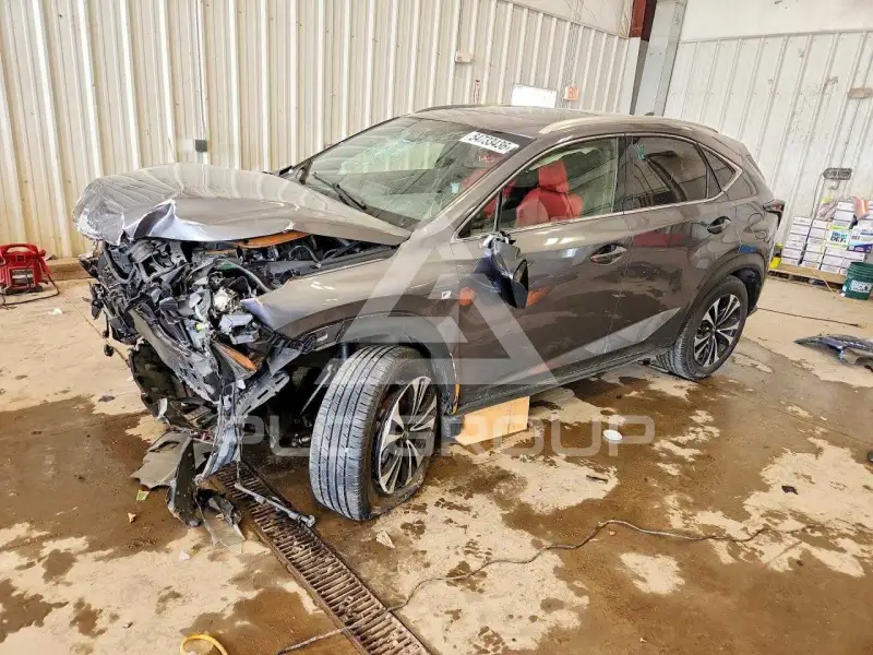 2020 Lexus NX фото
