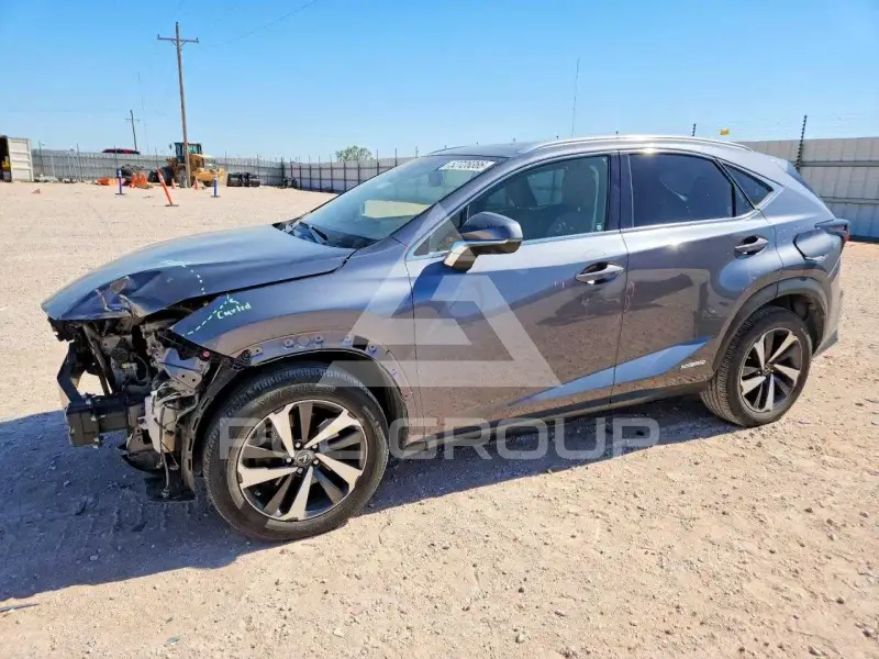 2020 Lexus NX photo