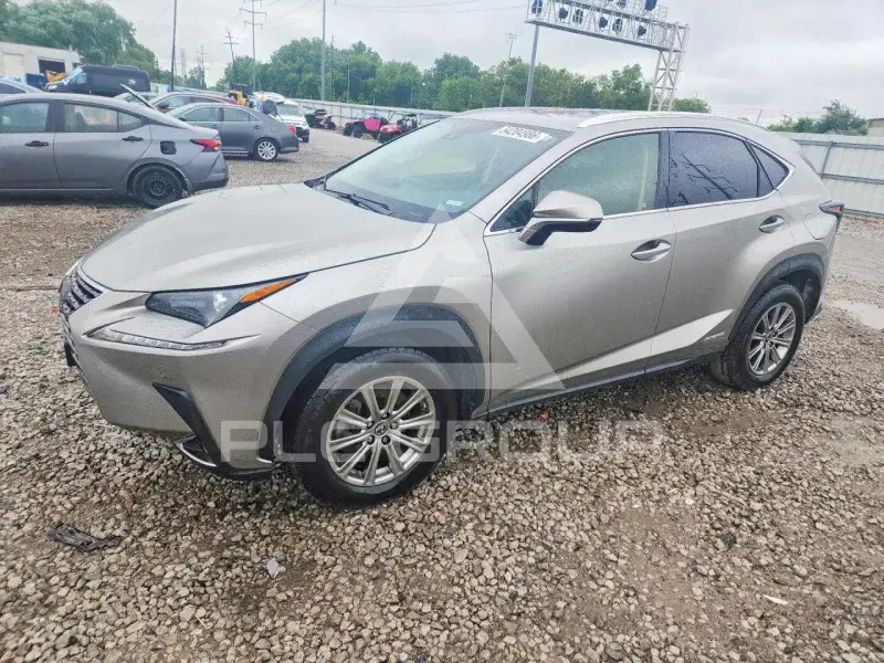 2020 Lexus NX фото