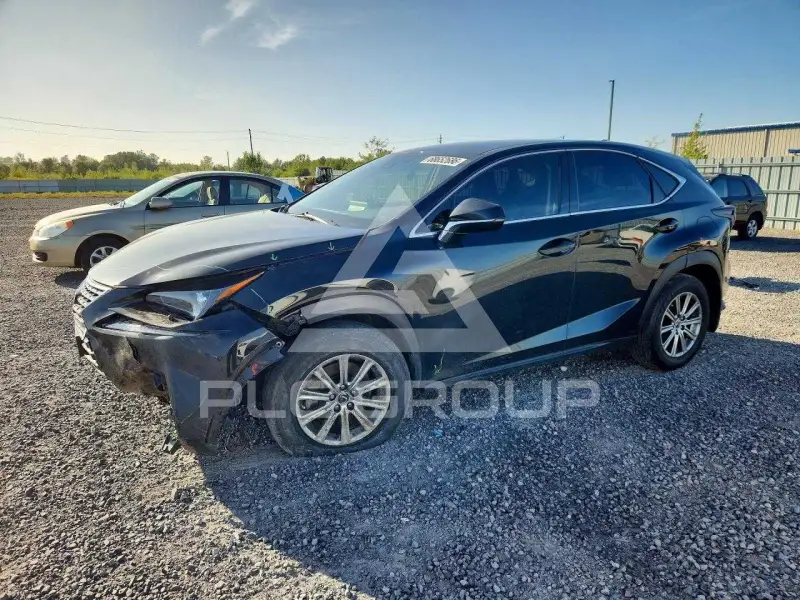 2020 Lexus NX photo