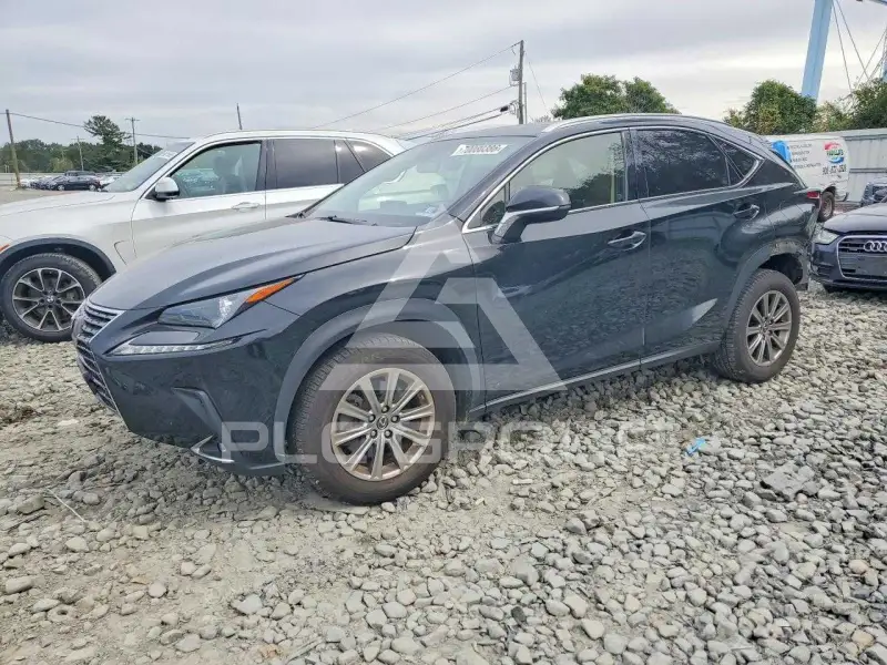 2020 Lexus NX photo
