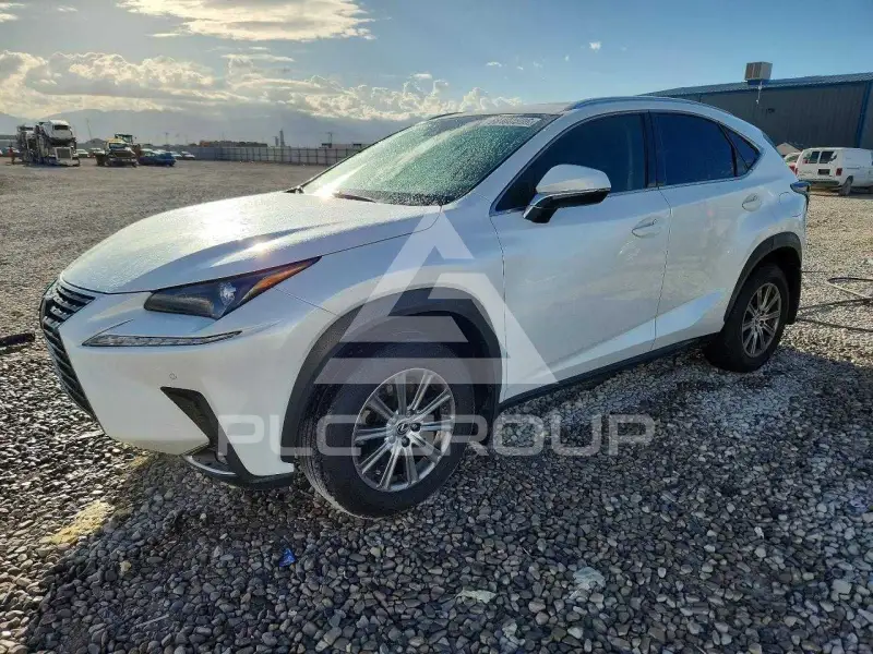 2020 Lexus NX фото